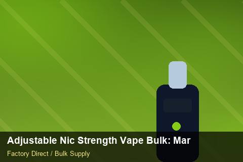 Adjustable Nic Strength Vape Bulk — Adjustable Nic Strength Vape Bulk: Margin Calculator — for EU Chains photo 2