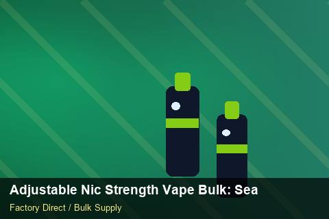 Adjustable Nic Strength Vape Bulk — Adjustable Nic Strength Vape Bulk: Seasonal Planning — for EU Chains photo 2