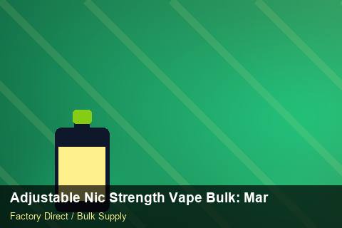 Adjustable Nic Strength Vape Bulk — Adjustable Nic Strength Vape Bulk: Margin Calculator — Cost Breakdown photo 1