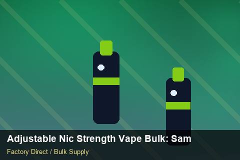 Adjustable Nic Strength Vape Bulk — Adjustable Nic Strength Vape Bulk: Sample Policy — Checklist photo 1