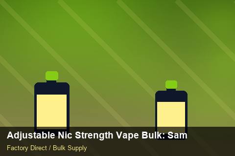 Adjustable Nic Strength Vape Bulk — Adjustable Nic Strength Vape Bulk: Sample Policy — Checklist photo 2