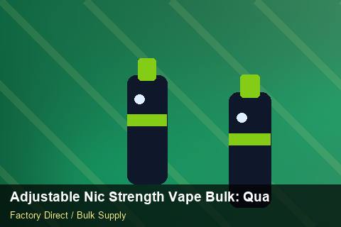 Adjustable Nic Strength Vape Bulk — Adjustable Nic Strength Vape Bulk: Quality Control Process — Checklist photo 1