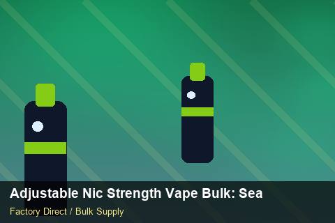 Adjustable Nic Strength Vape Bulk — Adjustable Nic Strength Vape Bulk: Seasonal Planning — Checklist photo 2