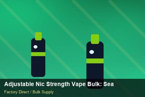 Adjustable Nic Strength Vape Bulk — Adjustable Nic Strength Vape Bulk: Seasonal Planning — Beginner Notes photo 2