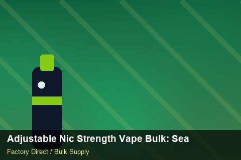 Adjustable Nic Strength Vape Bulk — Adjustable Nic Strength Vape Bulk: Seasonal Planning — Advanced Notes photo 2