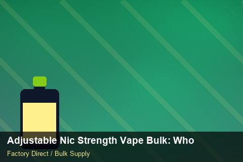 Adjustable Nic Strength Vape Bulk — Adjustable Nic Strength Vape Bulk: Wholesale Price — Case Study photo 2