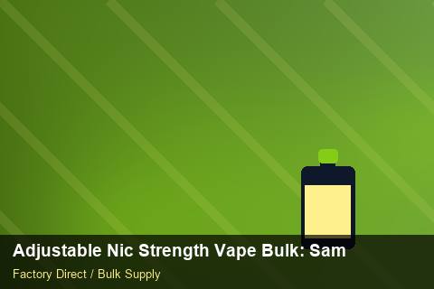 Adjustable Nic Strength Vape Bulk — Adjustable Nic Strength Vape Bulk: Sample Policy — Case Study photo 2