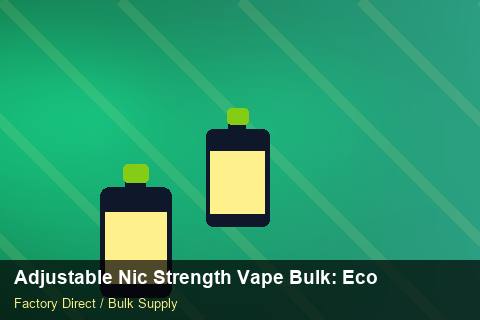 Adjustable Nic Strength Vape Bulk — Adjustable Nic Strength Vape Bulk: Eco-Friendly Materials — Case Study photo 1