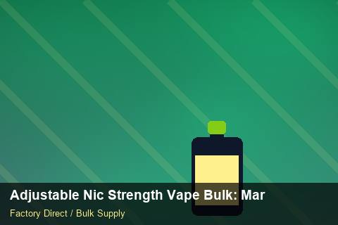 Adjustable Nic Strength Vape Bulk — Adjustable Nic Strength Vape Bulk: Margin Calculator — Case Study photo 1