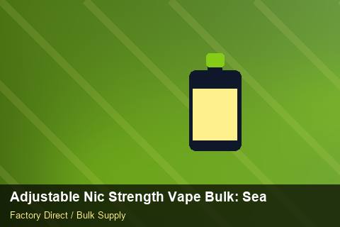 Adjustable Nic Strength Vape Bulk — Adjustable Nic Strength Vape Bulk: Seasonal Planning — Case Study photo 1