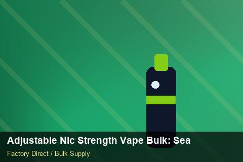 Adjustable Nic Strength Vape Bulk — Adjustable Nic Strength Vape Bulk: Seasonal Planning — Case Study photo 2