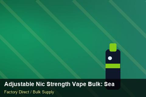 Adjustable Nic Strength Vape Bulk — Adjustable Nic Strength Vape Bulk: Seasonal Planning — Price per Unit photo 2