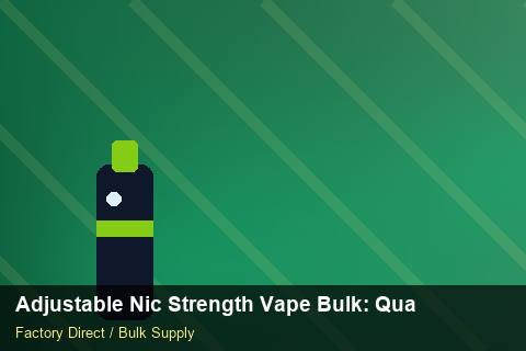 Adjustable Nic Strength Vape Bulk — Adjustable Nic Strength Vape Bulk: Quality Inspection Checklist — Carton Quantities photo 2
