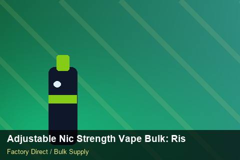 Adjustable Nic Strength Vape Bulk — Adjustable Nic Strength Vape Bulk: Risk Management — Carton Quantities photo 1
