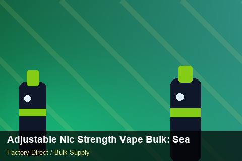 Adjustable Nic Strength Vape Bulk — Adjustable Nic Strength Vape Bulk: Seasonal Planning — Carton Quantities photo 2