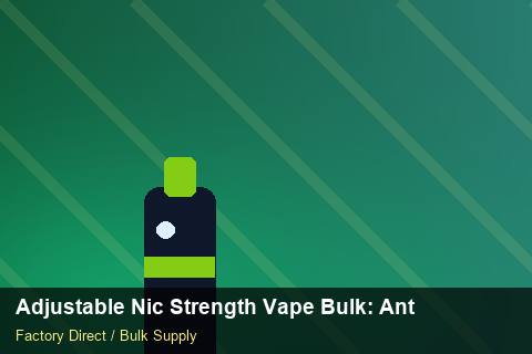Adjustable Nic Strength Vape Bulk — Adjustable Nic Strength Vape Bulk: Anti-Counterfeit Measures — Flavour Selection photo 2