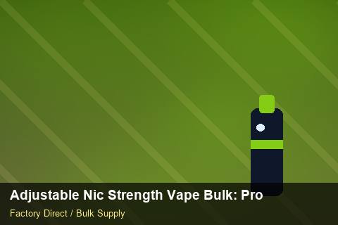 Adjustable Nic Strength Vape Bulk — Adjustable Nic Strength Vape Bulk: Product Launch Playbook — Flavour Selection photo 2