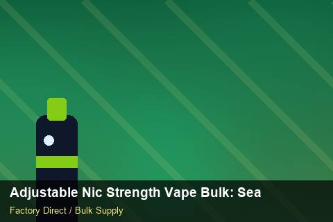 Adjustable Nic Strength Vape Bulk — Adjustable Nic Strength Vape Bulk: Seasonal Planning — Battery Specs photo 2