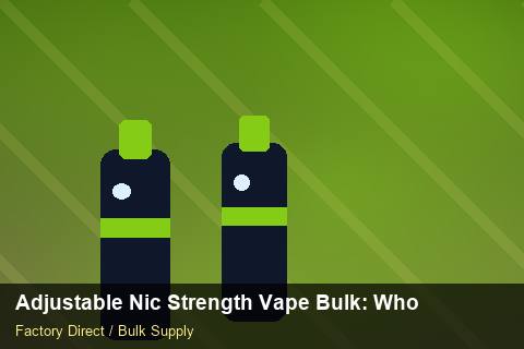 Adjustable Nic Strength Vape Bulk — Adjustable Nic Strength Vape Bulk: Wholesale Price — Coil Options photo 1