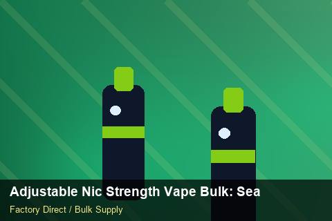 Adjustable Nic Strength Vape Bulk — Adjustable Nic Strength Vape Bulk: Seasonal Planning — Coil Options photo 2