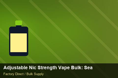 Adjustable Nic Strength Vape Bulk — Adjustable Nic Strength Vape Bulk: Seasonal Planning — Packaging Choices photo 1