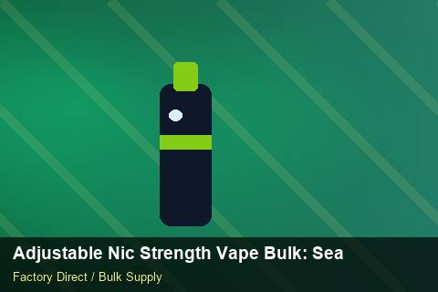 Adjustable Nic Strength Vape Bulk — Adjustable Nic Strength Vape Bulk: Seasonal Planning — Packaging Choices photo 2
