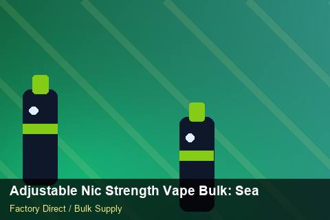 Adjustable Nic Strength Vape Bulk — Adjustable Nic Strength Vape Bulk: Seasonal Planning — Labelling Rules photo 2