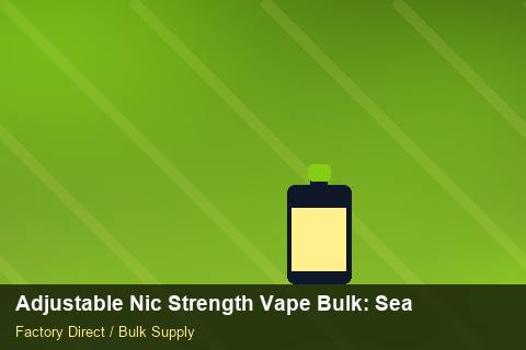 Adjustable Nic Strength Vape Bulk — Adjustable Nic Strength Vape Bulk: Seasonal Planning — Freight Options photo 1